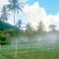Program Electrifying Agriculture PLN Tekan Biaya Operasional Petani Bawang Hingga 75 Persen. (Foto: PLN)